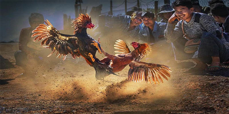king888 chơi bắn cá đổi thưởng