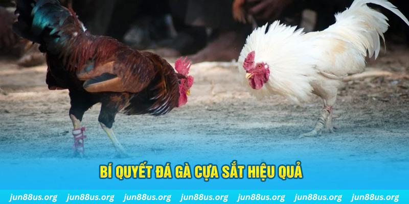 king888 xin 1 slot là gì