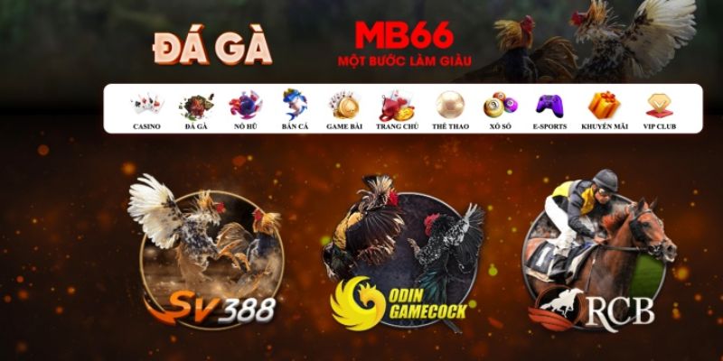 king888 đăng nhập poker số 1
