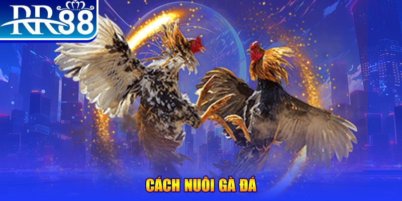 king888 xổ số an giang