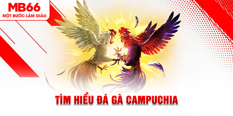 king888 đá gà trực tiếp