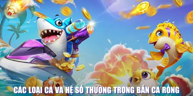 king888 đăng nhập sòng bạc mới nhất