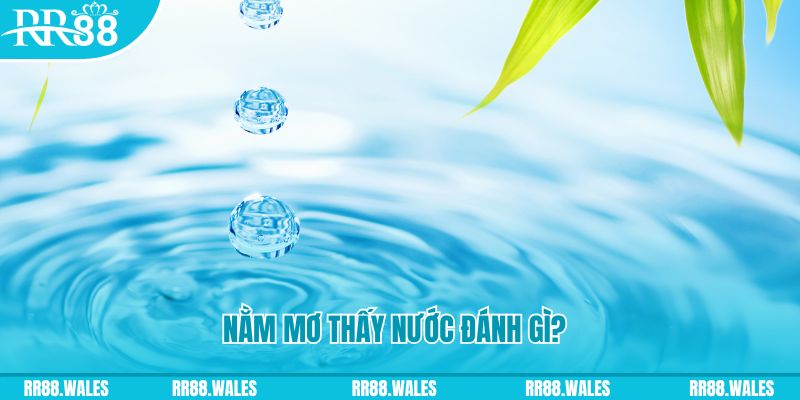 king888 TP Bắn cá