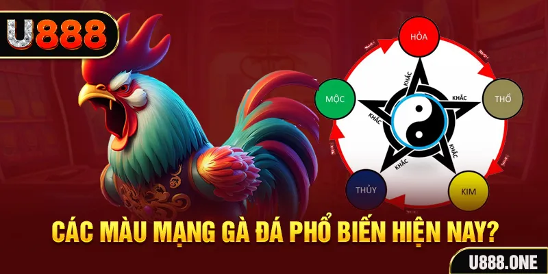 king888 trực tiếp đá gà 88