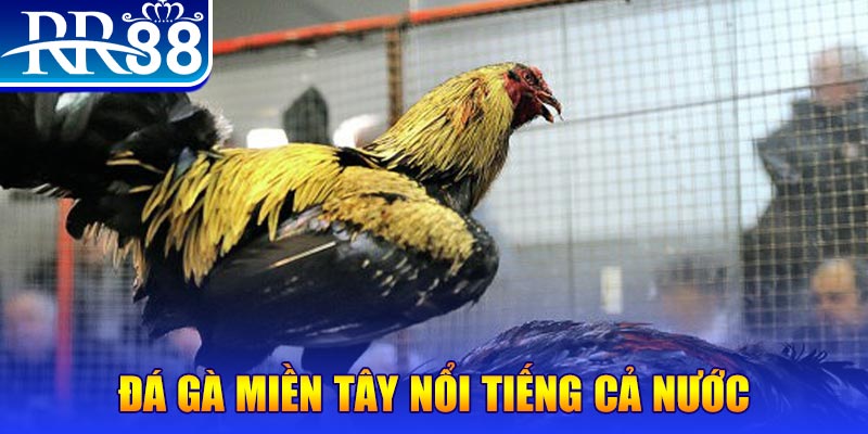 king888 JILI Game Bài 3d