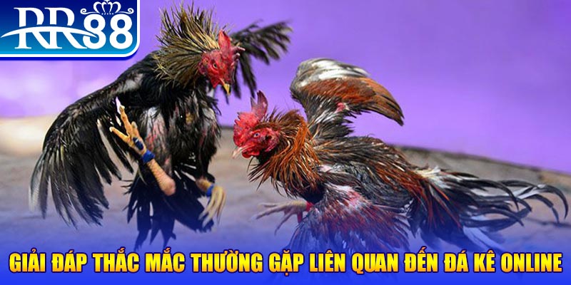 king888 xổ số đà lạt