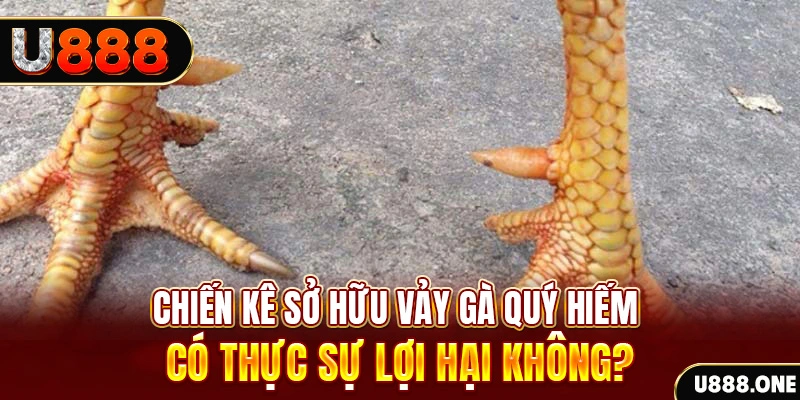 king888 nohu .mx nổ hủ là gì