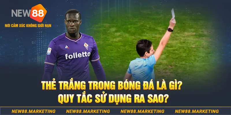 king888 gà chọi mộc hóa