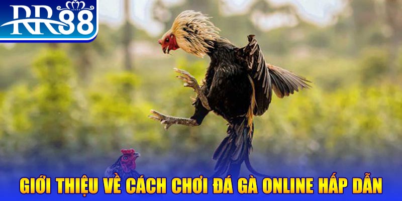 king888 game nổ hũ rút tiền mặt là gì
