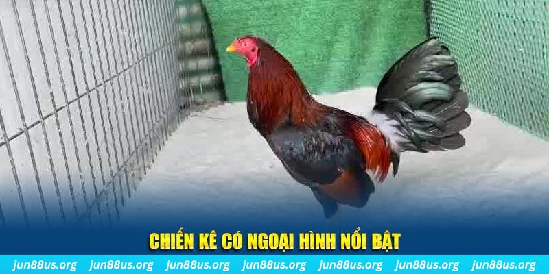 king888 chạy quảng cáo cho game bài bị phạt như thế nào