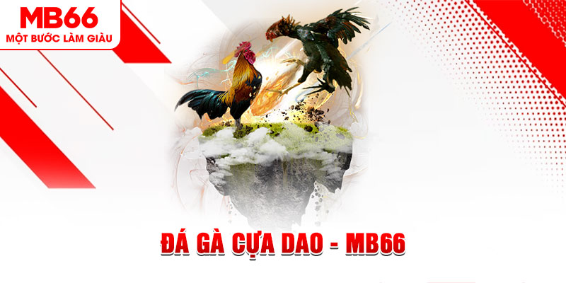 king888 đá gà sv388 gold