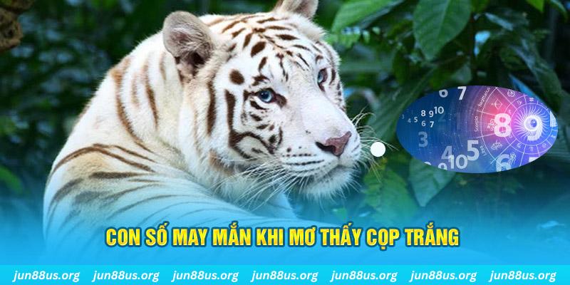 king888 đá gà trực tiếp 88